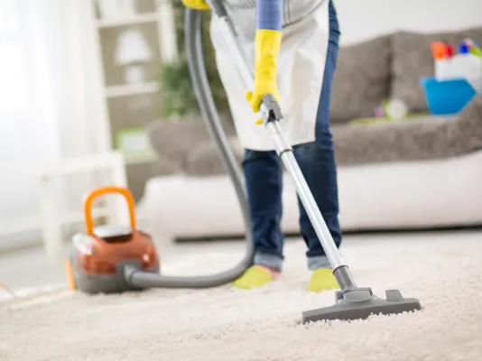 Cleaning carpet rug in Edwardsville, IL