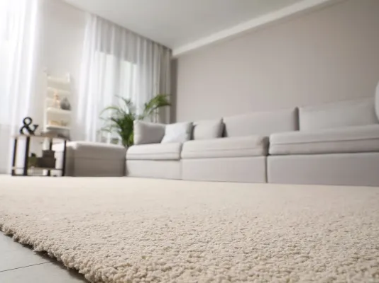 Area rugs in Edwardsville, IL